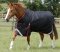 Nepromokavá výběhová deka pro koně Premier Equine Titan 450g