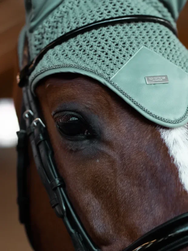 Čabraka na uši Equestrian Stockholm Modern Mint Green