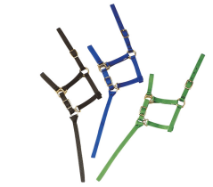 Nylonová ohlávka pro hříbě s vodící šňůrkou NORTON