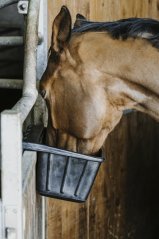 HIPPOTONIC MANGER RUBBER