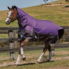 Nepromokavá deka pro koně s krčním dílem WEATHERBEETA COMFITEC PLUS DYNAMIC 100g