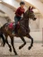 Set EQUESTRIAN STOCKHOLM Line Bordeaux