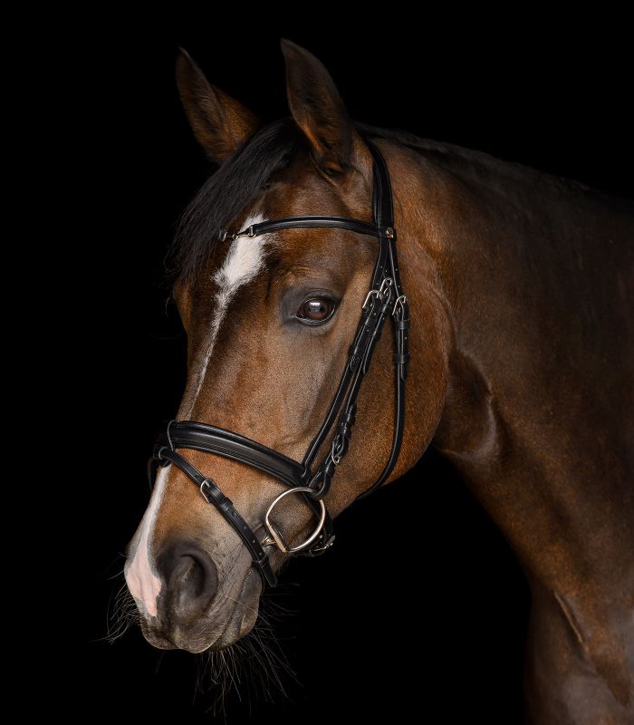 Anatomická uzdečka Waldhausen X-Line Charmbit