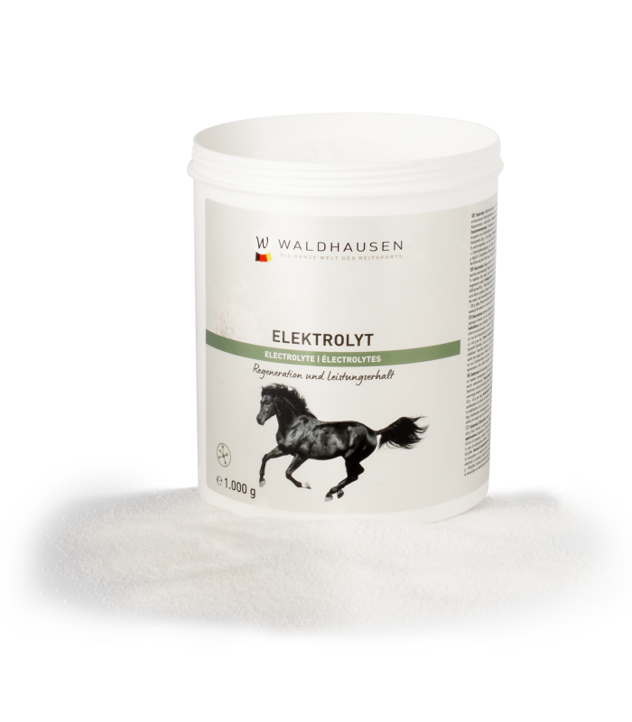 Elektrolyt Waldhausen regenerace a udržování výkonu, 1 kg