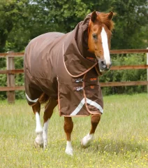Waterproof paddock blanket for horses Premier Equine Titan with neck piece 300g