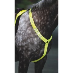 Vorderzeug für Pferde SHIRES EQUI-FLECTOR®