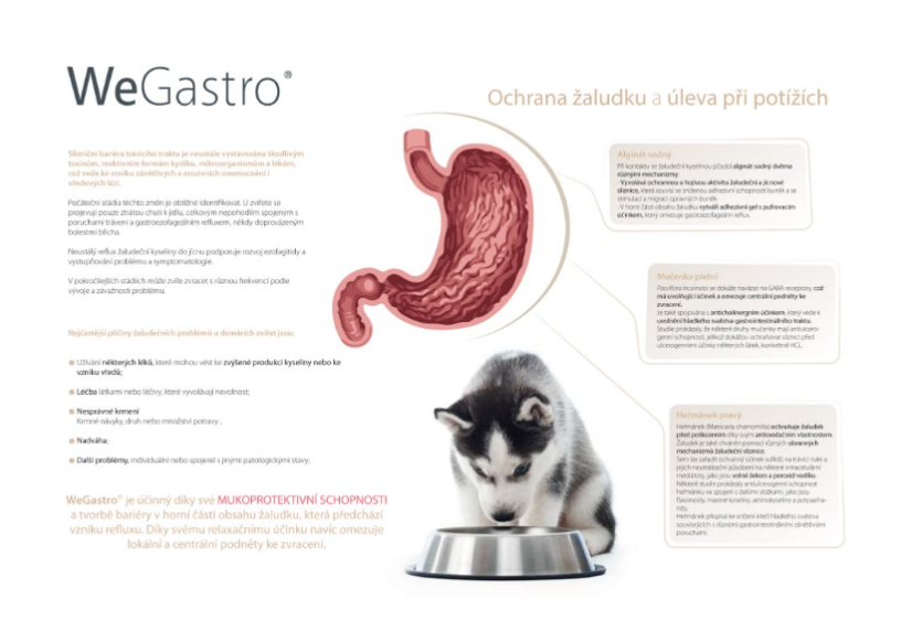 WEGASTRO - ochrana žaludku a úleva při potížích
