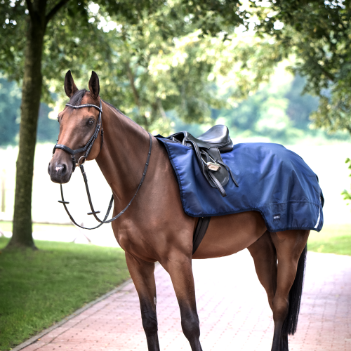 Bederní deka pro koně BUSSE RAINTRAINER 100