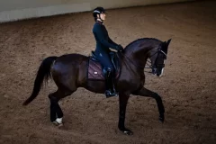Drezurní podsedlová dečka Equestrian Stockholm Mahogany Glimmer
