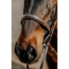 Uzdečka NORTON Hunter comfy