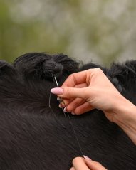 Manes braiding set