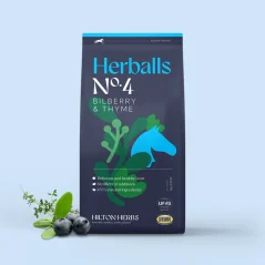 Treats HILTON HERBS Herballs Blueberry & Thyme
