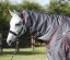 Nepromokavá výběhová deka pro koně Premier Equine Buster s krčním dílem 50g