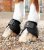 Zvony pro koně Premier Equine Ballistic No-Turn