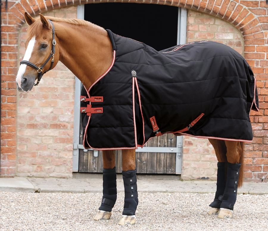 Couverture d'écurie pour cheval Premier Equine Lucanta 100 g | La sellerie de Maé