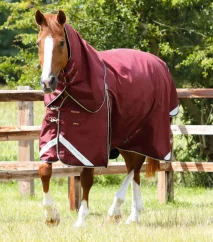 Premier Equine Buster Zero waterproof paddock blanket with neck piece 0g
