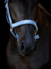 Ohlávka HorseGuard Malva