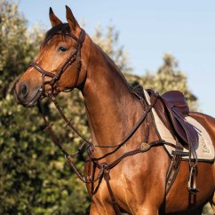 Five-Point Breastplate Calfskin ACAVALLO