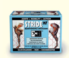 TRM Stride MP 60x20g