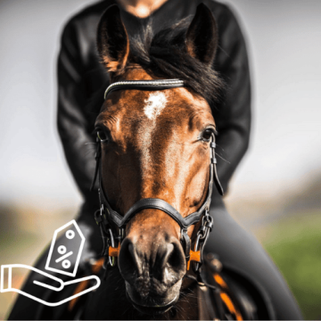 Skladové zboží za prémiové ceny.