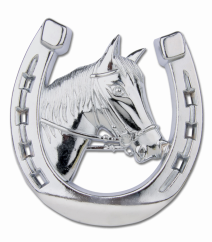 Car horseshoe horse head