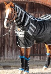 Magnetické zateplovací kamaše Premier Equine Magni-Teque
