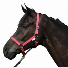 Ohlávka HKM - Stars Economy