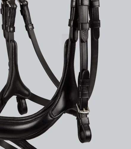 Palazzo Anatomical Bridle