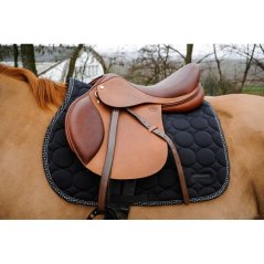 Saddle Evolution ERIC THOMAS