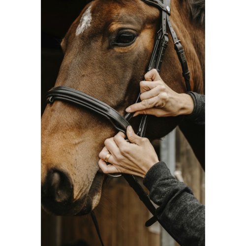 NORTON PRO "APOPHYSE" BRIDLE