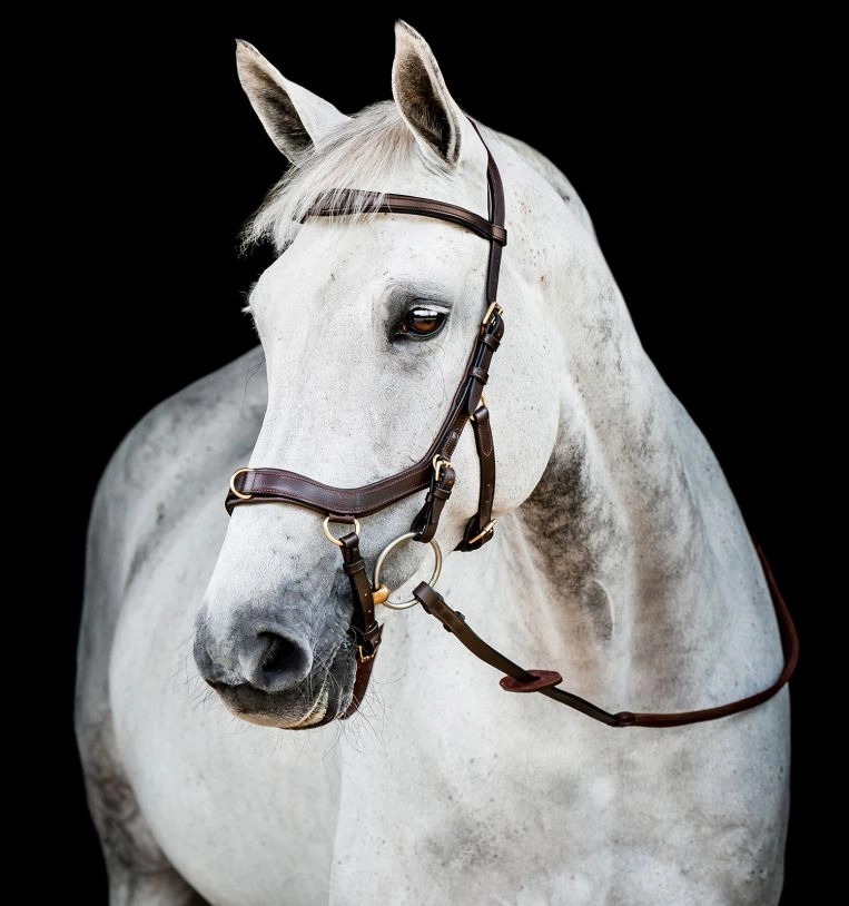 Uzdečka Horseware Micklem 2 Multi