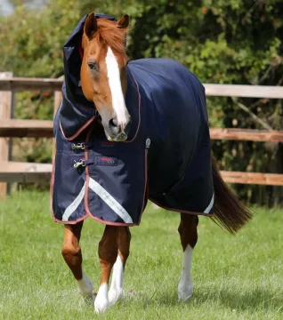 Zkoušíme deky od Premier Equine!