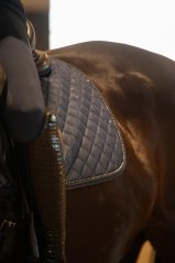 Drezurní podsedlová dečka HorseGuard Milva