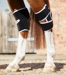 Hlezenní magnetické chrániče Premier Equine Magni-Teque Magnetic