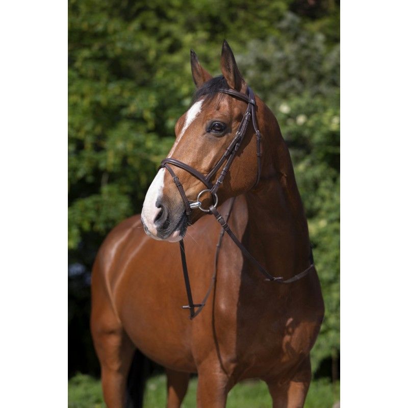 Uzdečka pro koně RIDING WORLD Muserolle Croisée