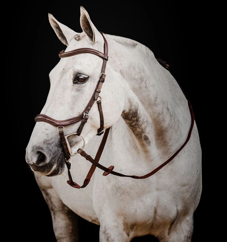 Uzdečka Horseware Micklem 2 Deluxe Competition, s otěžemi