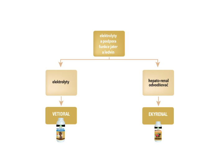 VETIDRAL SOLUTION - kompenzace úbytku elektrolytu 1l - EXP. 6/2026