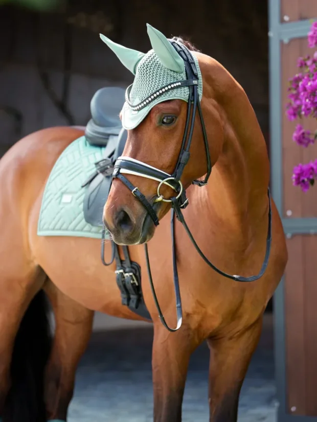 Čabraka na uši Equestrian Stockholm Modern Mint Green