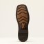 Pánské westernové boty Ariat Highland Toughstock, Brown Oiled Rowdy