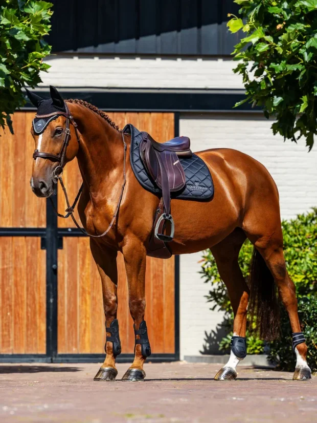 Set EQUESTRIAN STOCKHOLM Line Black