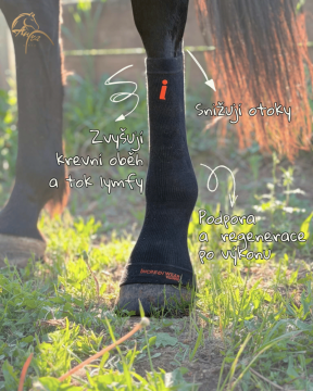 Cirkulační ponožky Incrediwear pro koně: kdy je nasadit, jak fungují a proč si je jezdci tolik chválí