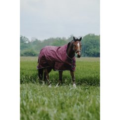 EQUITHÈME - TYREX 1200D - Turnout rug High Neck