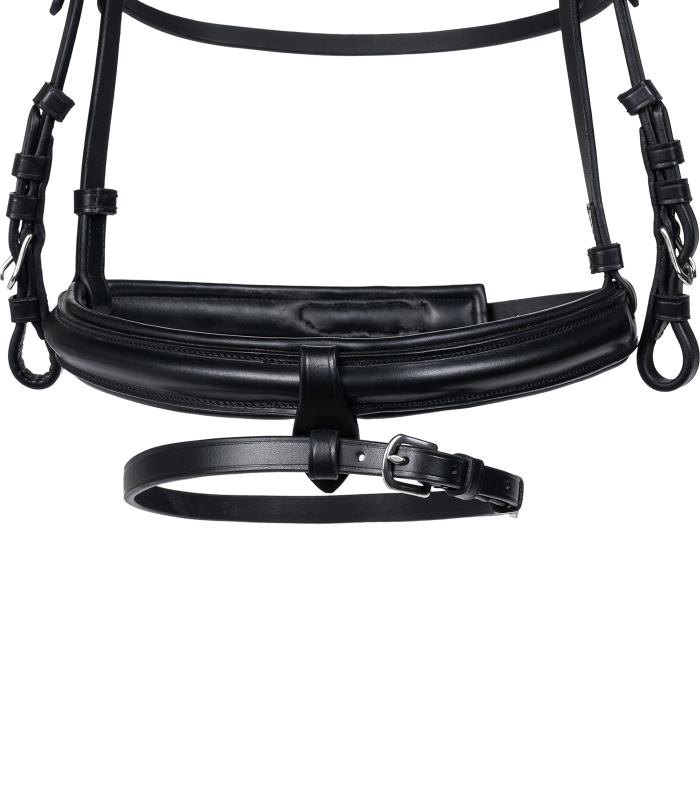 Anatomická uzdečka Waldhausen X-Line Charmbit