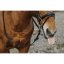 NORTON TRAINING PVC rubber reins