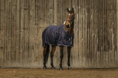 Lehká stájová deka EQUITHEME Vague