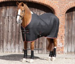 Víceúčelová deka pro koně Premier Equine Dry-Tech