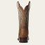 Ariat PrimeTime Damenstiefel, Farbe: Tack Room Brown