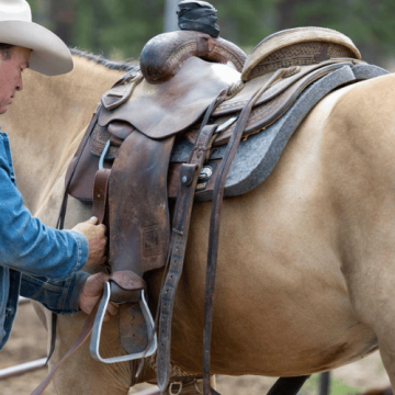 Westernová sedla – trail, ranch, reining, cutting, barrel a roping