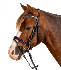 Uzdečka Waldhausen Pinky Star