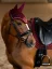 Set EQUESTRIAN STOCKHOLM Line Bordeaux